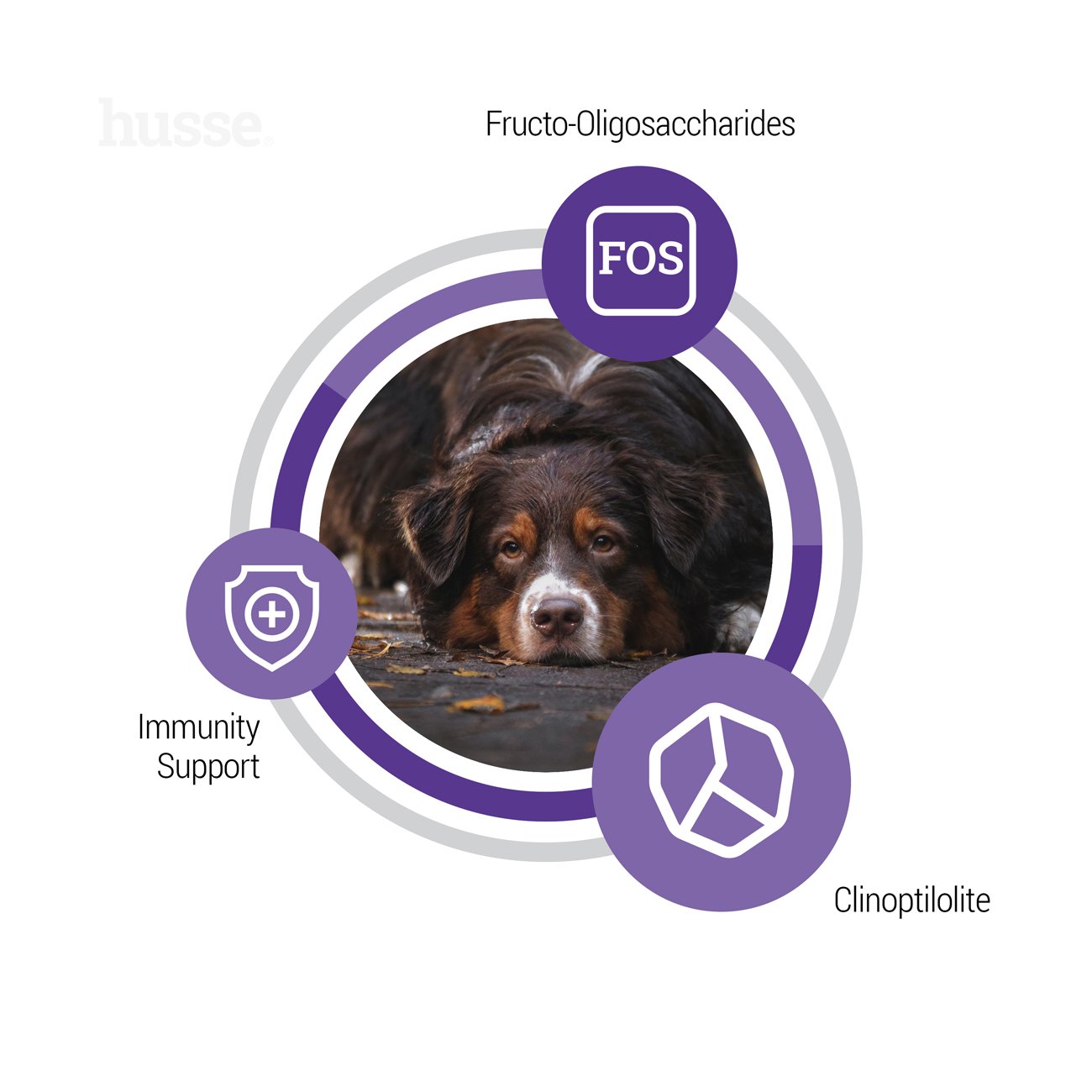 Senior, 12 kg | Balanced dry food to meet the unique needs of ageing dogs