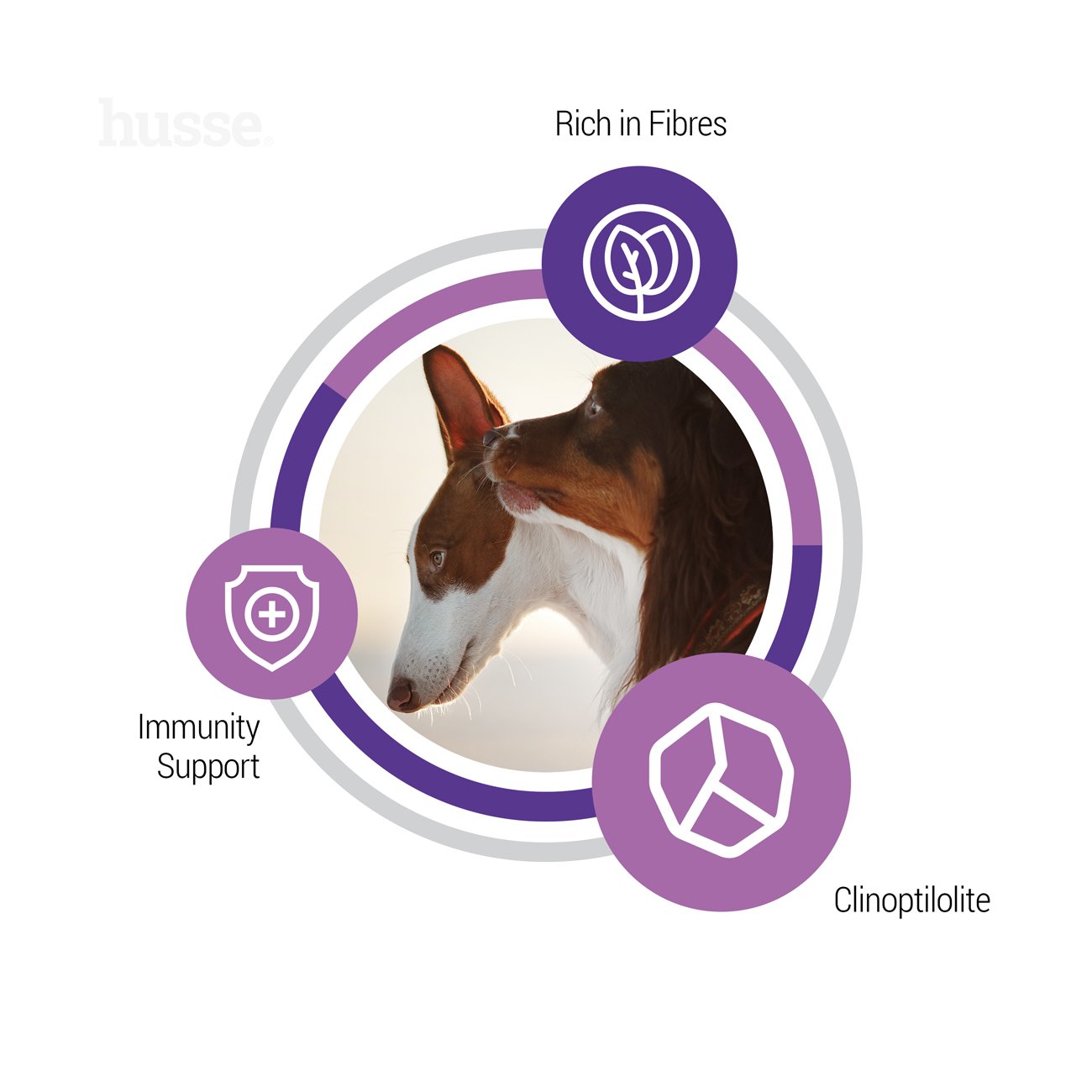 Sterilised, 12 kg | Balanced dry food to meet the unique needs of sterilised adult dogs