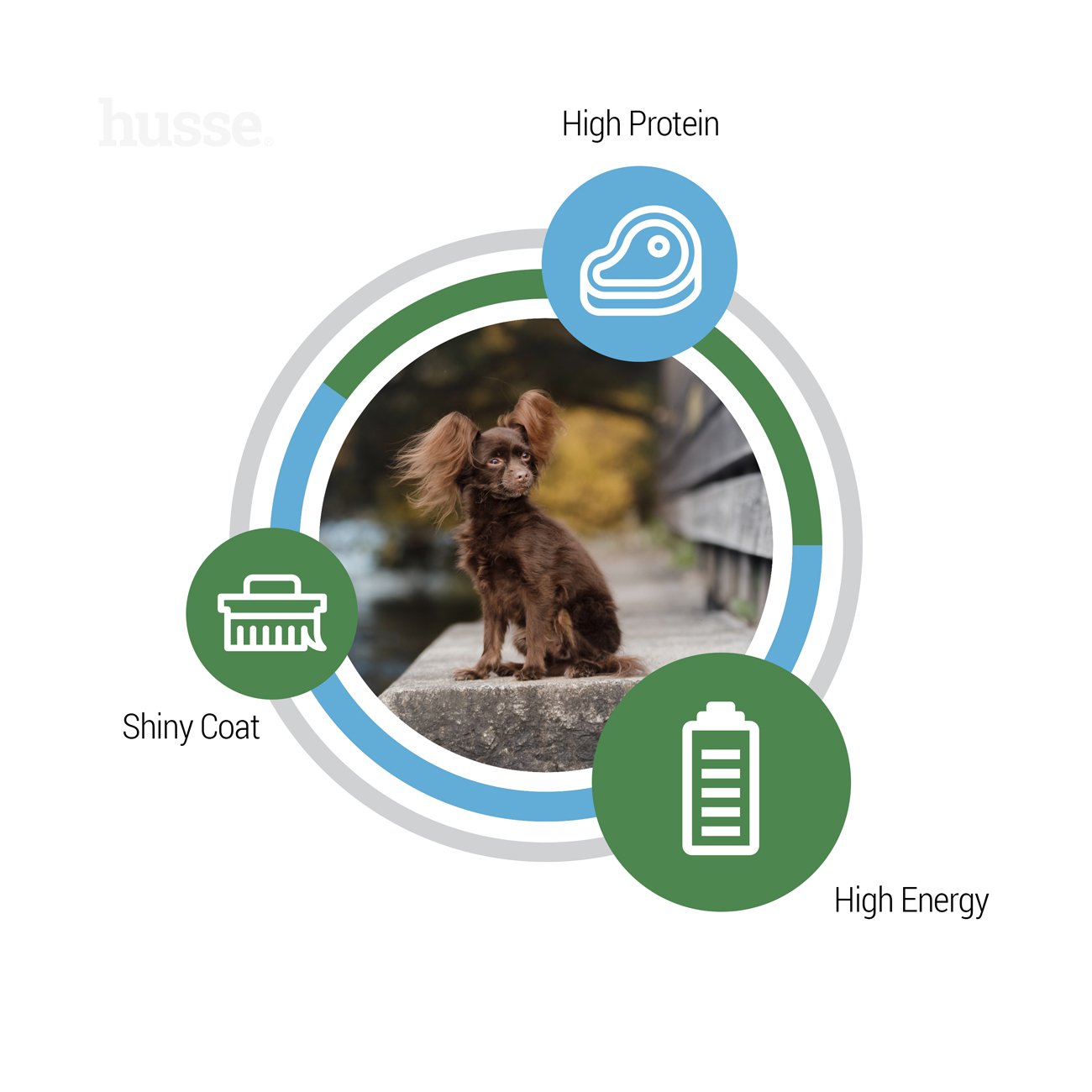 Optimal Mini, 2 kg | Gluten free dog dry food designed to meet high energy needs