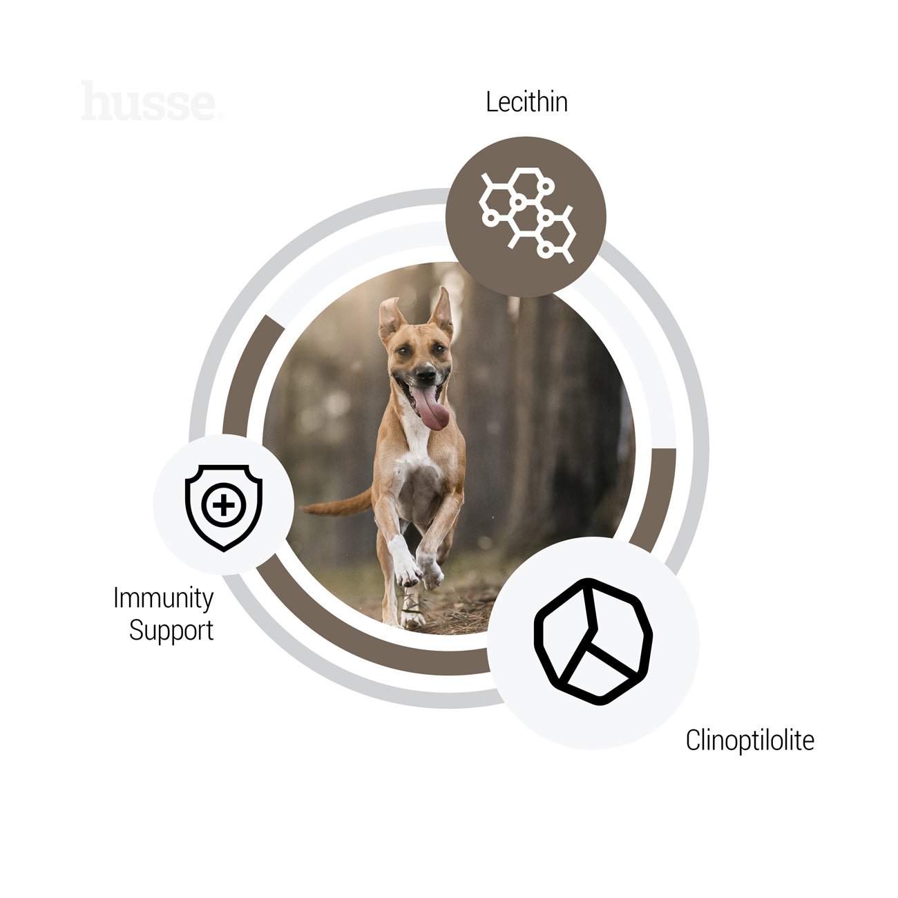 Sensitive Digest, 2 kg | Gluten free recipe with limited animal protein sources