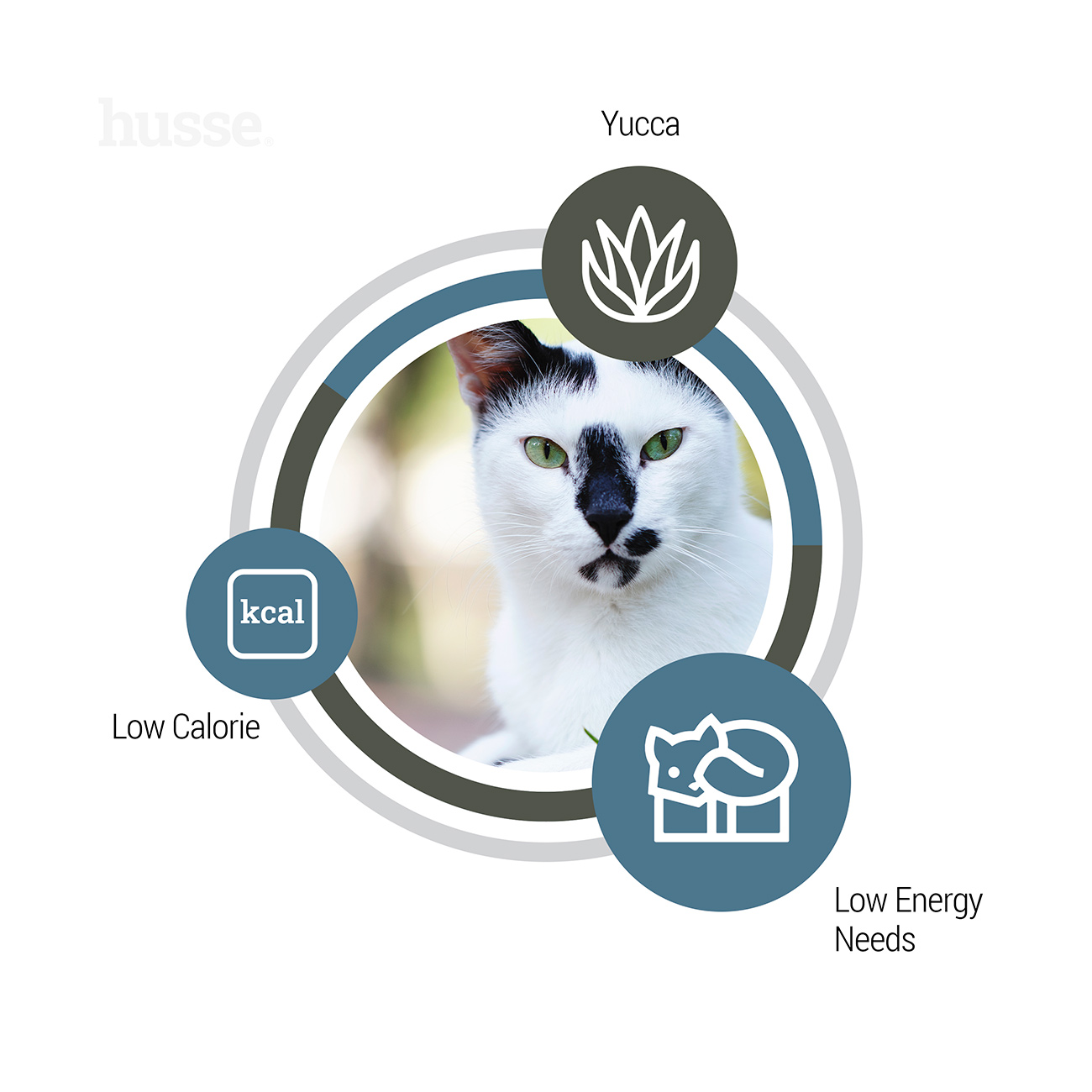 Exclusive Light, 2 kg | Cat dry food designed to help maintain healthy weight