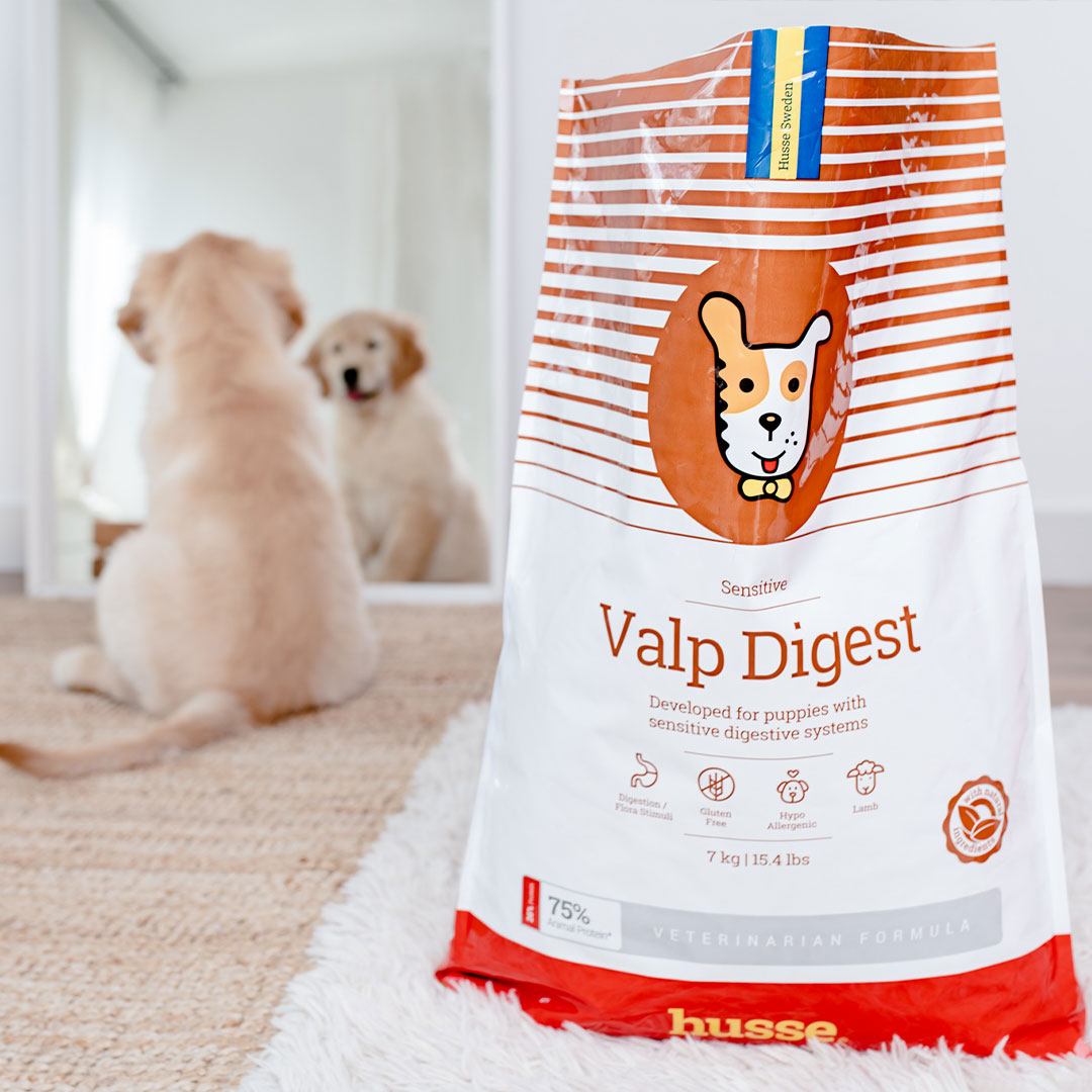 Sensitive Valp Digest, 7 kg | Dry food that supports the developmental needs of sensitive puppies