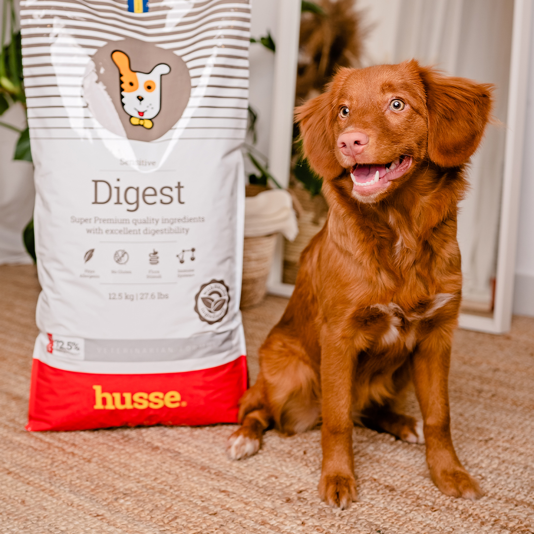 Sensitive Digest, 2 kg | Gluten free recipe with limited animal protein sources