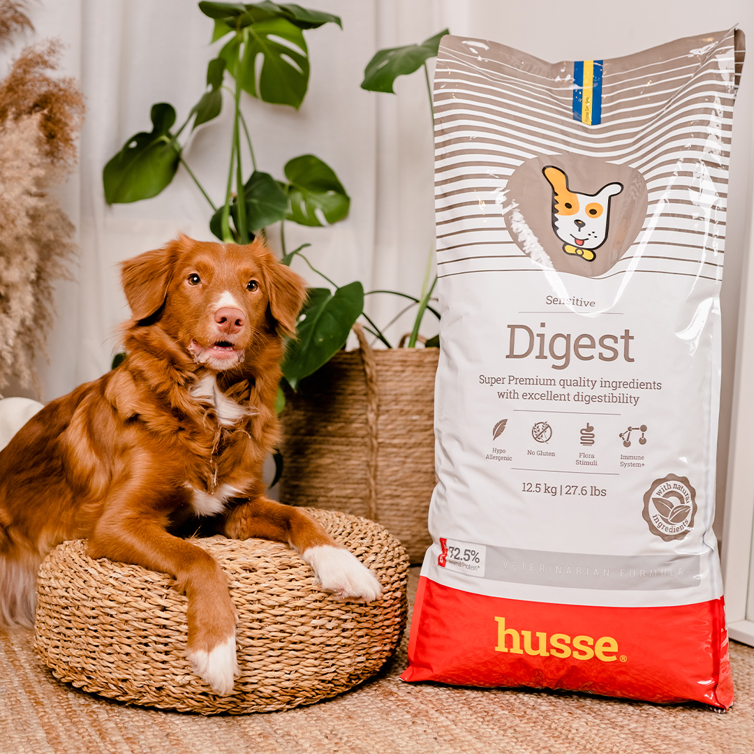 Sensitive Digest, 2 kg | Gluten free recipe with limited animal protein sources