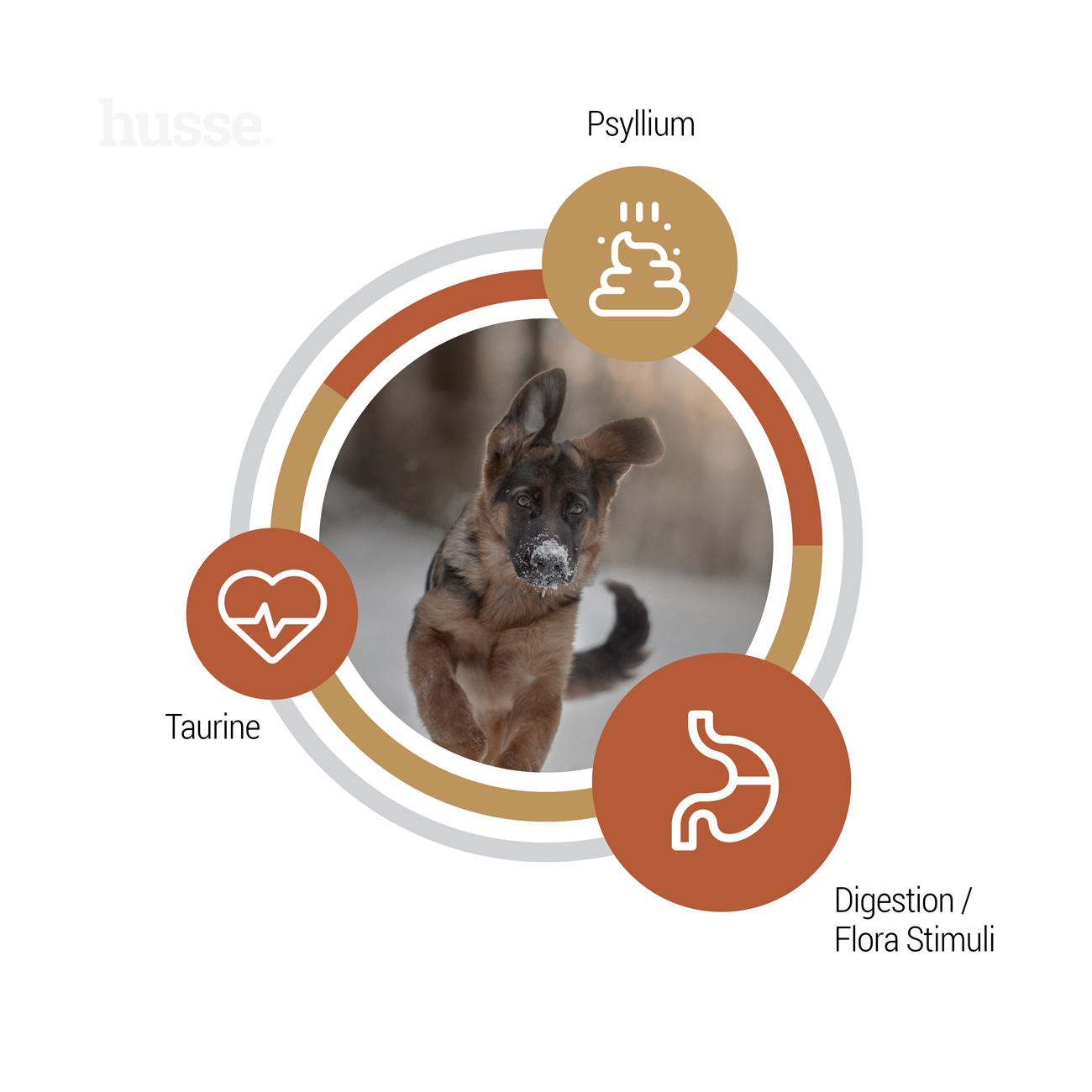 Valp Farm, 12 kg | Grain free kibbles with high animal protein content from limited sources