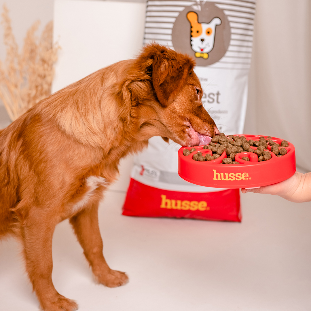 Sensitive Digest, 2 kg | Gluten free recipe with limited animal protein sources