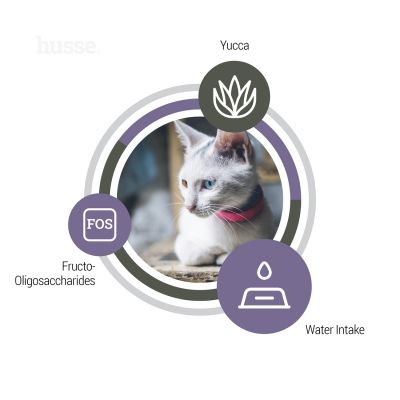 Exclusive Urinary, 2 kg | Complete cat nutrition that helps maintain urinary health1