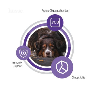 Senior, 12 kg | Balanced dry food to meet the unique needs of ageing dogs