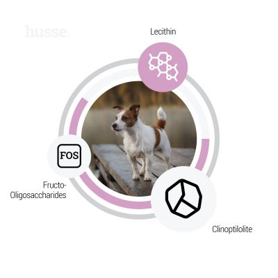 Sensitive Ocean Care Mini, 2 kg | Gluten free recipe with a single animal protein source