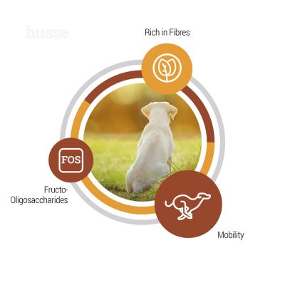 Valp Maxi, 15 kg | Dry food that supports the developmental needs of large breed puppies