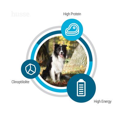 Optimal, 12 kg | Complete & balanced nutrition for active dogs