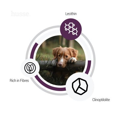 Sensitive Light, 12.5 kg | Gluten free dry food with moderate energy content for optimal weight control