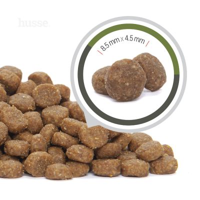 Exclusive Lyster Care, 2 kg | Kibbles for active cats or cats with sensitive skin & coat