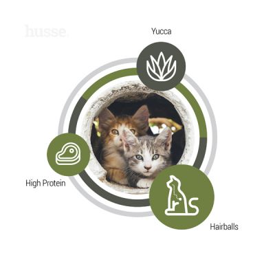 Exclusive Lyster Care, 2 kg | Kibbles for active cats or cats with sensitive skin & coat
