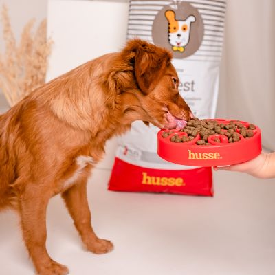 Sensitive Digest, 2 kg | Gluten free recipe with limited animal protein sources