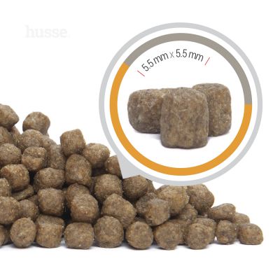 Valp Mini, 2 kg | Dry food that supports the developmental needs of small breed puppies